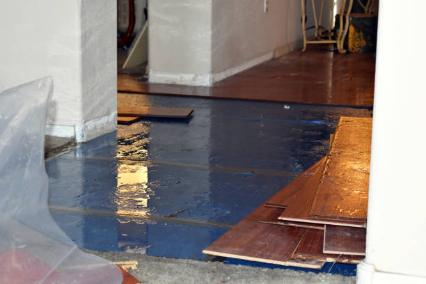Professional Burst Pipe Cleanup technician working in Newport, MI
